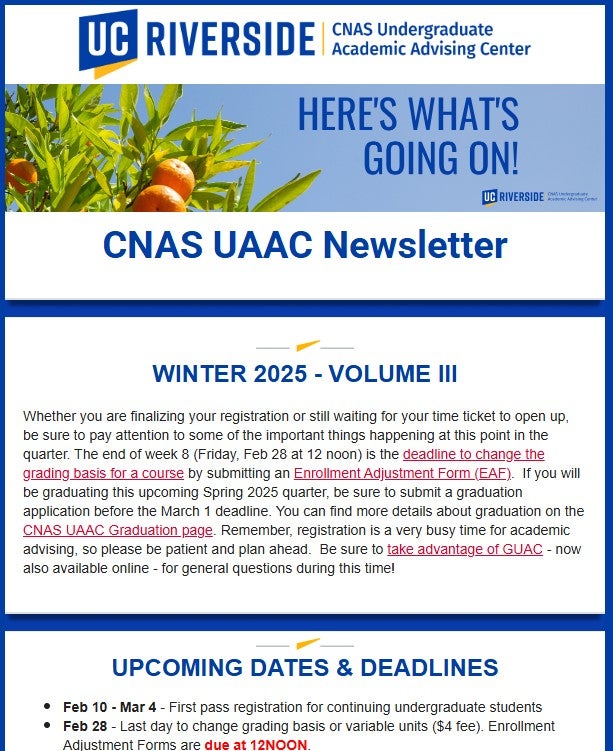 Newsletter Screenshot 25W 3